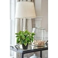 thumbnail image 4 of Artificial Plants Indoor Fake Pothos N‘ Joy Potted Plant in Black Pots for Bathroom Living Room Office Desk Shelves, 4 of 4