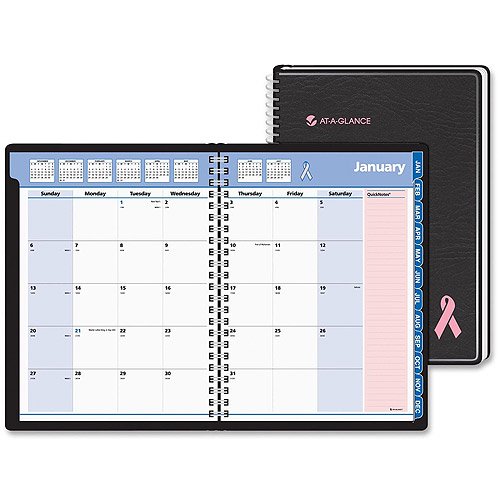 AtAGlance QuickNotes Pink Ribbon Appointment Planner