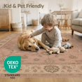 thumbnail image 4 of ODIKA 8'x10' Washable Area Rug Non-Shedding, Easy Care, Pink Blush Floral Elegance with Classic Motifs Intricate Garden Design Symmetrical Borders for King Size Bedroom Under Bed, Master Suite, 4 of 7