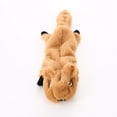 thumbnail image 5 of Sin relleno Squeaky felpa zorro mapache ardilla, juego de juguetes de cuerda de dentición para masticar cachorros para perros S/M/L mascotas animales Color opcional Xemadio HMYH303, 5 of 5