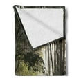 thumbnail image 2 of Woodland Soft Flannel Fleece Throw Blanket, Trail Through the Autumn Forest on a Foggy Morning Rustic Countryside Photo, Cozy Plush for Indoor and Outdoor Use, 60" x 80", Multicolor, by Ambesonne, 2 of 5