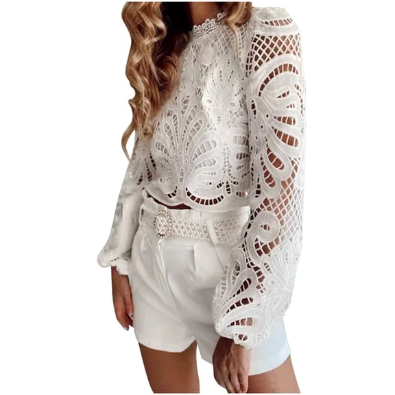 FUYUDY Women's Tshirts Spring Summer Lace Hollow Sexy Zipper Long Sleeved Casual T-Shirt Tops Holiday Female Solid Color Dailywear