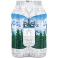 thumbnail image 4 of ICE MOUNTAIN BRAND 100% Natural Spring Water 6-16.9 fl. oz. Bottles, 4 of 6
