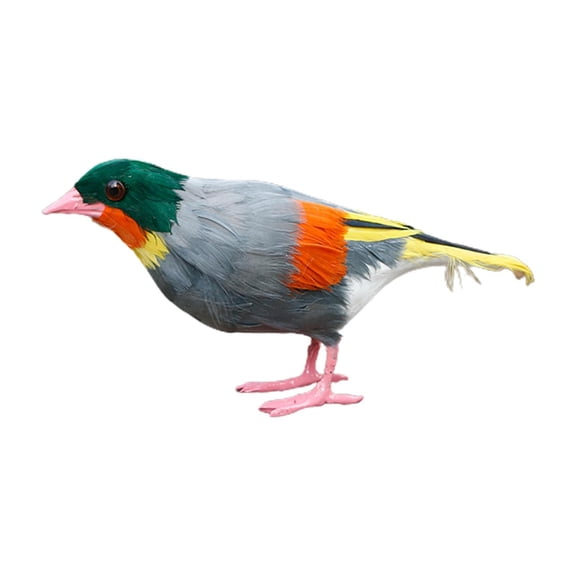 Advancent Animated Feathered Bird Leiothrix Figurines Animal for Zoo Decor Garden Type3 NO3