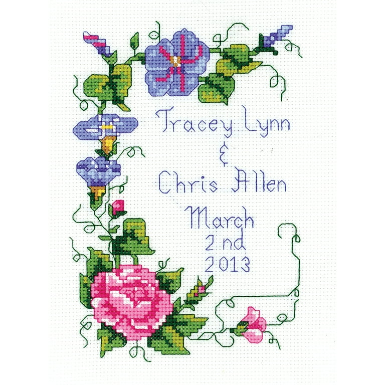 Janlynn 171495 Counted Cross Stitch Kit 11X14, Summer Montage (14 Count)