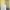 Yellow, variant on Sherpa Lined Jackets Mens Flannel Plaid Shirt Jacket Casual Loose Button-Up Fleece Shirt Outwear
