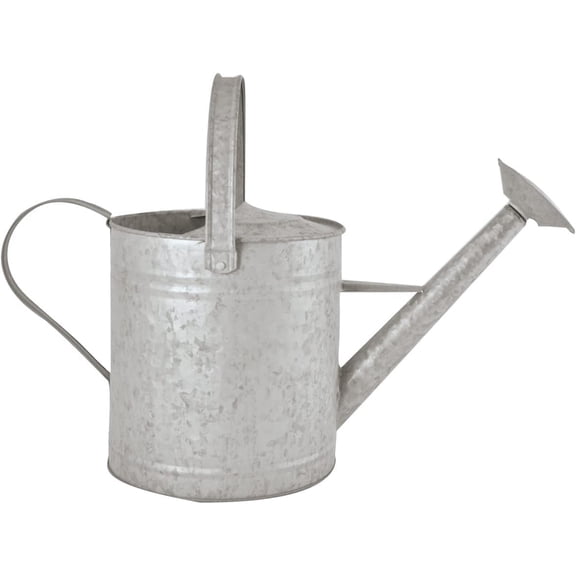 Esschert Design OZ44 Zinc Watering Can, Medium, 19"D x 7.9"W x 11"H, Silver