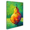 thumbnail image 2 of Trademark Fine Art 'Pear V' Canvas Art by Marion Rose, 2 of 3