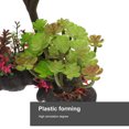 thumbnail image 4 of unbranded Artificiales De Acuario En Color Surtido Para Peceras Y Oficina, 4 of 5