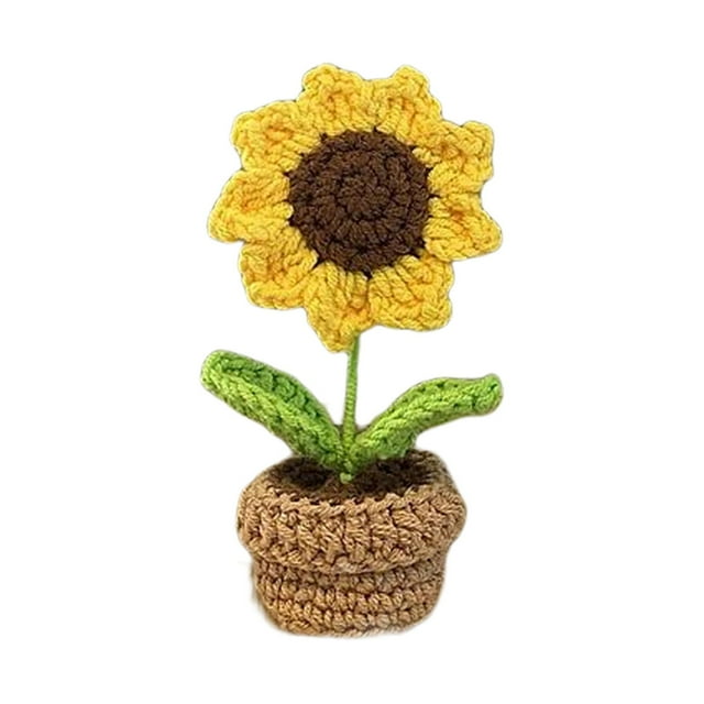 Rongfmy Handmade for Beginner Crocheting Craft for Adults Includes Yarn, Hook Office