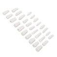 thumbnail image 3 of 28Pcs Removable Teeth Piece Durable Plastic Removable Design False Teeth for Typodont Teaching Study--, 3 of 5