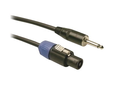 Hosa SKT-403Q 14-Gauge Speakon to 1/4" Inch Speaker Cable 3 Foot 