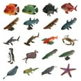 thumbnail image 4 of pitrice Realistic Static Ocean Animal Model Toy Kids Gift Latimeria, 4 of 9