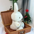 thumbnail image 3 of Taotanxi Toys Plush Cream Bunny Rabbit Stuffed Animal with Fluffy Soft Ears (Cream Bunny, 9 Inches), 3 of 6