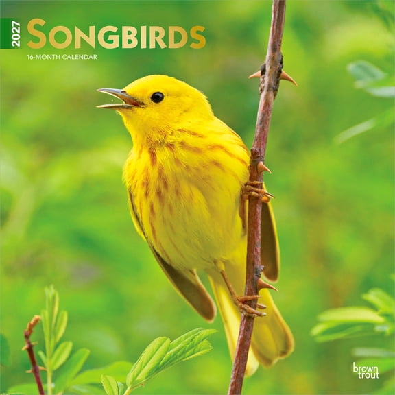 Songbirds 2027 12x24" (Hanging) Wall Calendar | Foil Stamped Cover | Plastic-Free