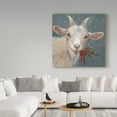 thumbnail image 3 of Trademark Fine Art 'Goat With Holly' Canvas Art by Mary Miller Veazie, 3 of 3