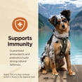 thumbnail image 6 of Wellness CORE Digestive Health Beef Grain Free Wet Dog Food, 13 Ounce Can (Pack of 12), 6 of 12