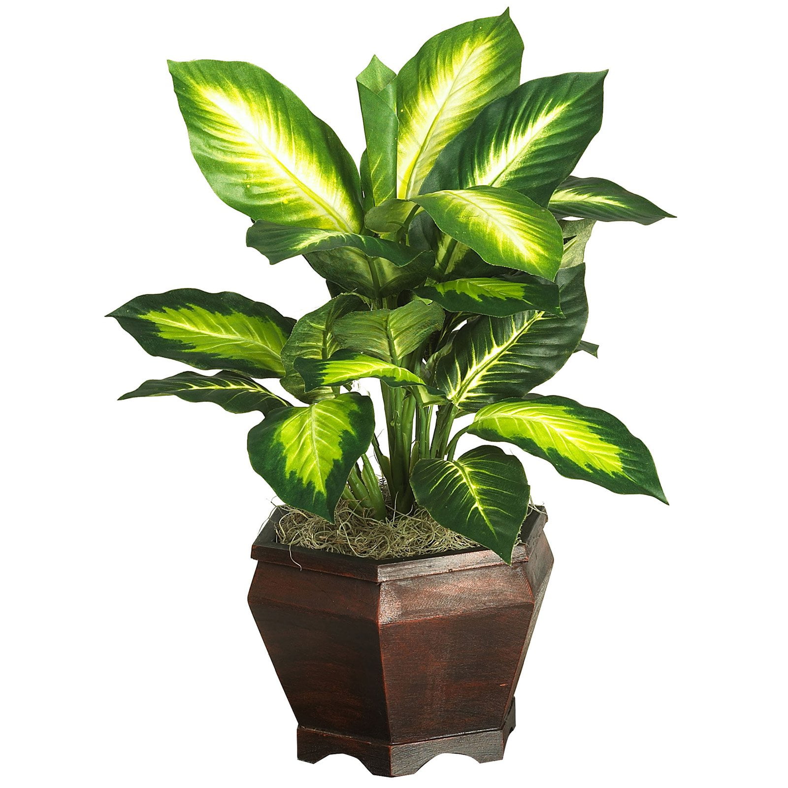 Nearly Natural Golden Dieffenbachia With Wood Vase Silk Plant Walmart Com Walmart Com