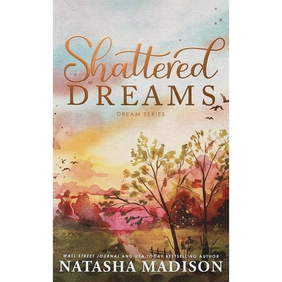 Dream Shattered Dreams, Book 1, (Paperback)