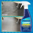 thumbnail image 4 of Star brite 088922 Ultimate Carpet Clean - 22 oz., 4 of 5