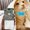 Blue, variant on Two-in-one Bowknot small pet collar locator, which is both a beautiful collar and an anti-lost locator Pet GPS Tracker Collar Advanced Tracking Solution Smart Collar with iOS and Android(Black)