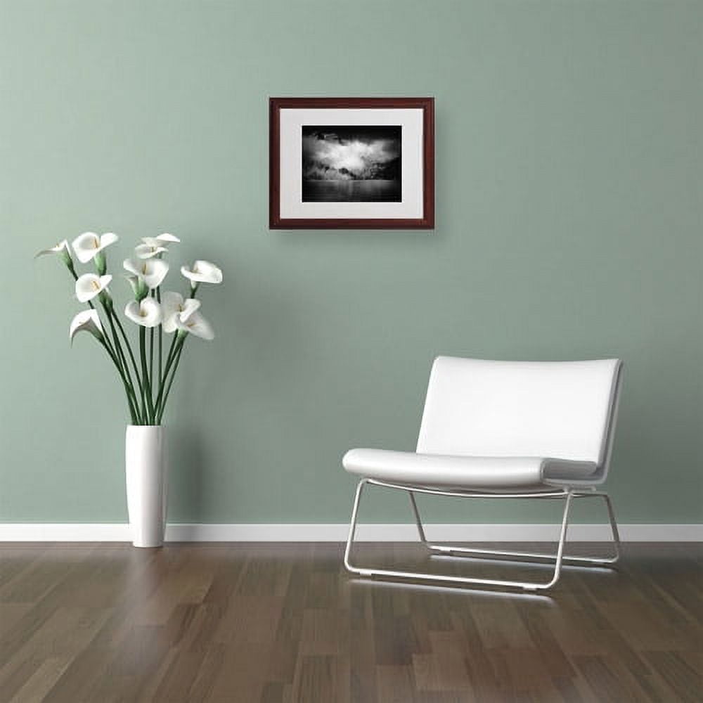 Trademark Fine Art "Black Beauty" Canvas Art by Philippe Sainte-Laudy, Wood Frame