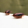 thumbnail image 5 of Interactive Electronic Cockroach Toy for Dogs & Cats - Fun Intelligence Activity & Training Pet Supplies, 5 of 6