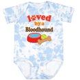 thumbnail image 3 of Inktastic Bloodhound Loved by a (dog Breed) Boys or Girls Baby Bodysuit, 3 of 5