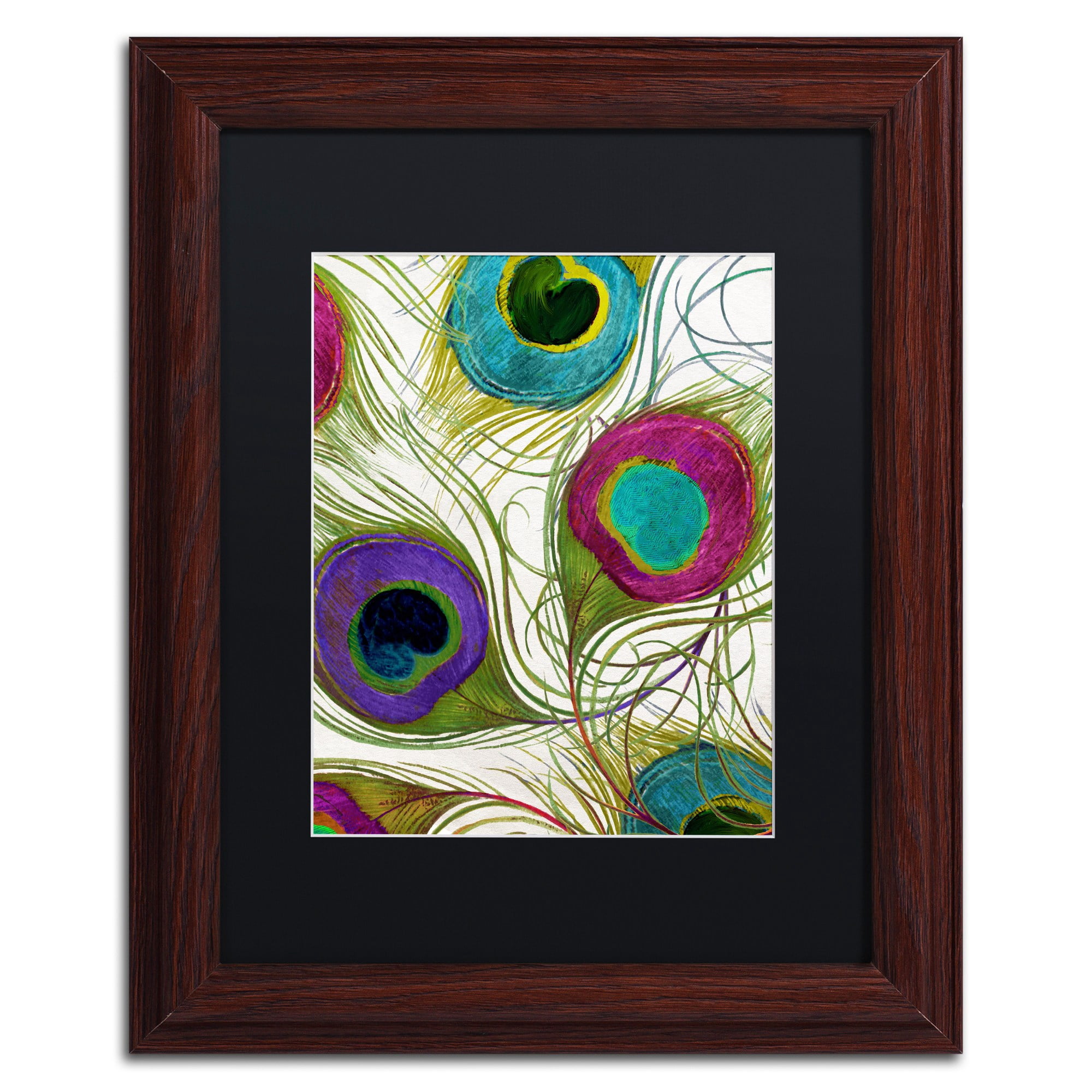 Trademark Fine Art "Peacock Feathers I" Canvas Art by Color Bakery Black Matte, Wood Frame