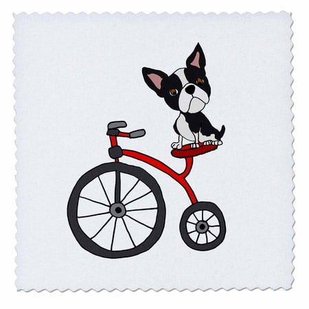 Funny Dog Figurines 3dRose Cool Funny Boston Terrier Dog riding Tricycle Cartoon - Quilt Square, 8 by 8-inch ()