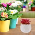 thumbnail image 6 of 4pcs Artificial Potted Plant Decoration Vivid Succulent Model for Indoors and Outdoors Desk, 6 of 11