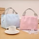 thumbnail image 4 of Bolsas De Almuerzo,Enfriador Térmico Aislado Almuerzo Enfriador Térmico Aislado Bolsa De Almuerzo Caja De Almacenamiento De Picnic Rendimiento Lleno De Energía, 4 of 6