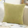 thumbnail image 6 of ChicYu 15.7*15.7 in Sofa Pillow Living Room Cushion Solid Color Velvet Lumbar Soft Bean Velvet Fabric for Back Support and Decor(Pillowcover + Insert Included), 6 of 6