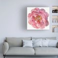 thumbnail image 3 of Jennifer Paxton Parker 'Blossomed Peony II' Canvas Art, 3 of 3