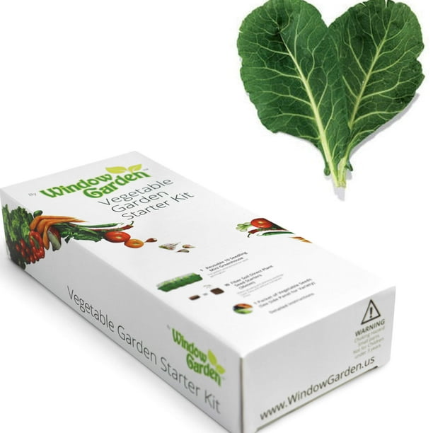 Window Garden Swiss Chard Vegetable Seed Starter Kit, Grow Your Own