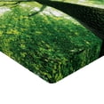 thumbnail image 2 of Ambesonne Landscape Fitted Sheet, Summer Rays in Wild, Queen Size, Green, 2 of 3