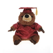 Made by Aliens Beaver Plush Stuffed Animal Toys Present Gifts for Graduation Day, Personalized Text, Name or Your School Logo on Gown, Best for Any Grad School Kids 12 Inches