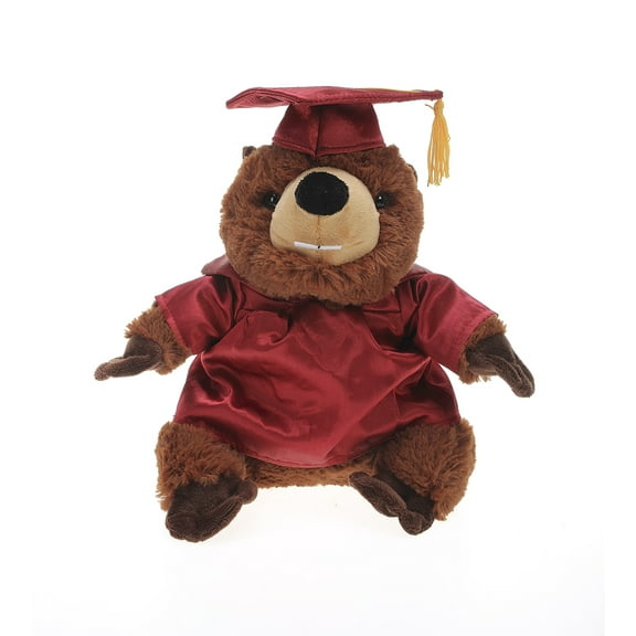 Made by Aliens Beaver Plush Stuffed Animal Toys Present Gifts for Graduation Day, Personalized Text, Name or Your School Logo on Gown, Best for Any Grad School Kids 12 Inches