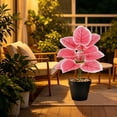 thumbnail image 6 of Gallickan Artificial Pink Plant Potted Alocasia 12 Leaves PVC Fake Tropical with Pot for Home Office Desk Decor, 6 of 6