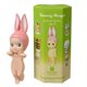 thumbnail image 3 of Caja sorpresa de Sonny Angel Hippers, juguetes de la serie Anniversary Harvest, figuras de anime de frutas y verduras, adornos, muñecos, regalo para niños, 3 of 5
