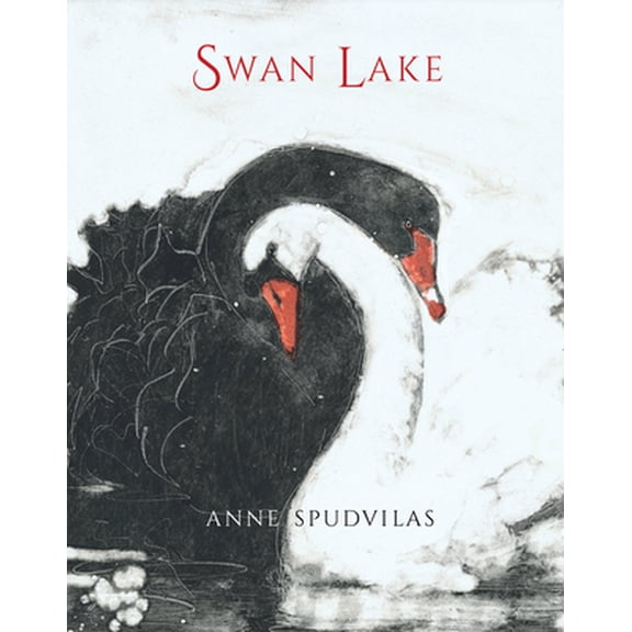 Pre-Owned Swan Lake (Hardcover) 1743318456 9781743318454