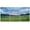 Unframed, variant on Wall26 Canvas Wall Art Set of 3 Yellow Daisy Meadow Sunset Nature Wilderness Photography Realism Decorative Landscape Prints Rustic Country/Farmhouse Wall Decora - Unframed 16"x24"x3