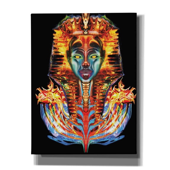 Epic Graffiti 'Imortal Pharoah' by Michael Stewart, Canvas Wall Art, 12"x16"