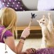 thumbnail image 3 of Juguetes para Gatos Ganfancp Catnip Crinkle Sonido Suaves y Robustos Interactivos, 3 of 5