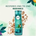 Herbal Essences Moroccan My Shine Nourishing Shampoo with Argan Oil Essences, 10.1 fl oz