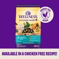 thumbnail image 6 of Wellness Complete Health+ Small Breed Adult Dry Dog Food with Freeze Dried Wellbites, Wholesome Grain Kibble+, Natural, Turkey and Oatmeal Recipe, 10.5 lb Bag, 6 of 9
