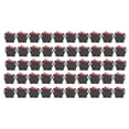 thumbnail image 1 of Interruptor de encendido y apagado, 50 Uds., interruptor basculante ABS, 6 pines, encendido y apagado, 2 posiciones, juego de 125/250V para máquina, electrodomésticos(Rojo), 1 of 14