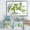 thumbnail image 3 of Designart 'Green Orchid Flowers On White' Traditional Framed Art Print, 3 of 4