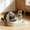 🔥 Yellow_Base#304, variant on Dual Cat Dog Food and Water Bowl with Automatic Refill, Non-Slip Detachable Pet Feeder for Home and Travel