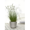 thumbnail image 3 of Ecopots Oslo Durable Modern Round Indoor/Outdoor Recycled Based Composite Flower Pot Planter, Taupe, 14", 3 of 4